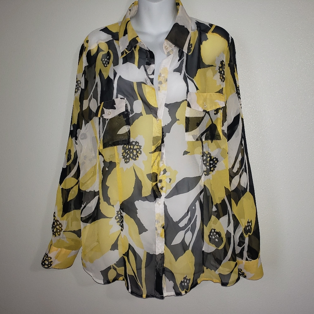 Nicola Vintage Sheer Button Up Long Sleeve Blouse